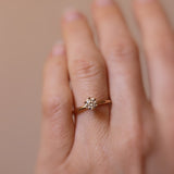 The Solitaire (0.50 CT - 1.0 CT)