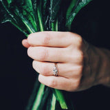 Jade Petite Wave Enough