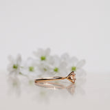 Finished: The Solitaire Ring with Champagne Morganite