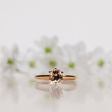 Finished: The Solitaire Ring with Champagne Morganite