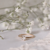Solitaire Petite Ring (0.30 CT - 0.70 CT)
