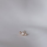 Tiny Brigitte Stud